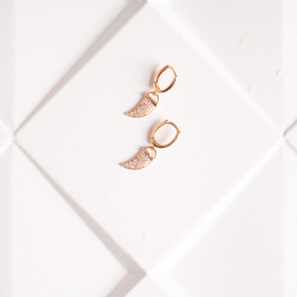 Boucles d'oreilles "Talisman"